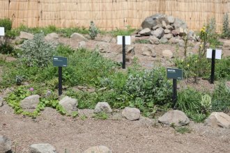 WhatsApp Image 2025-11-10 at 13.24.31 (1).jpeg